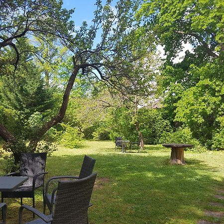 Pension Villa Inge Baden Exterior photo