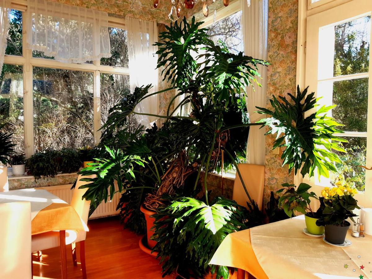 Pension Villa Inge Baden Exterior photo