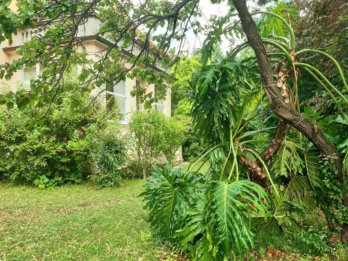 Pension Villa Inge Baden Exterior photo
